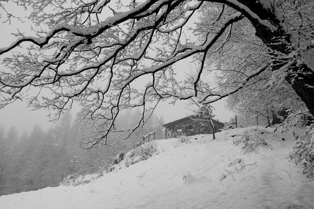 LanificioCerruti_Winter